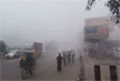 184 flights delayed, 7 cancelled as dense fog reduces visibility to zero in Delhi-NCR